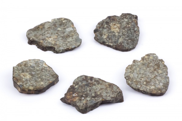 meteorite_nwa869_slices_group.jpg