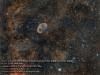 Celestron Ha-Hb-OIII Narrowband Imaging Filter for Rowe-Ackermann Schmidt Astrograph (RASA) 8''