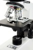 Celestron Labs CB2000C Compound Microscope