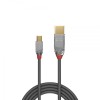 Lindy CROMO USB2.0 A to Mini B Cable