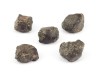 NWA869 Meteorite