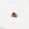 Tatahouine Meteorite