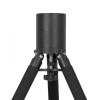 ZWO 70mm Pier Extension for AM5 Mount