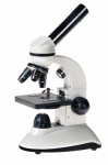 Zenith Microscopes
