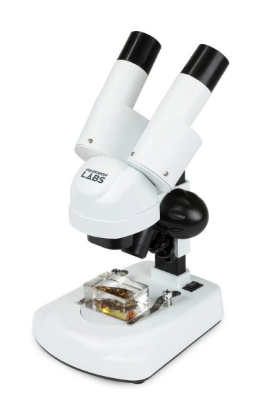 Petiscope Enfant Celestron Lumunu Passion Products 44302-C Microscope Manuel Numérique Capture Your Discoveries Gris : Celestron Celestron Handheld Microscope