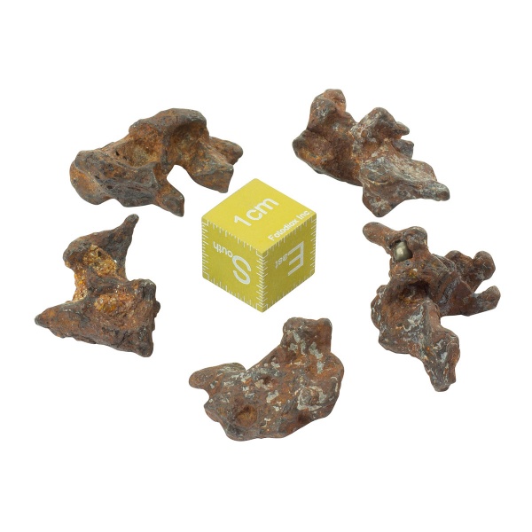 Sericho / Habaswin Skeleton Meteorite
