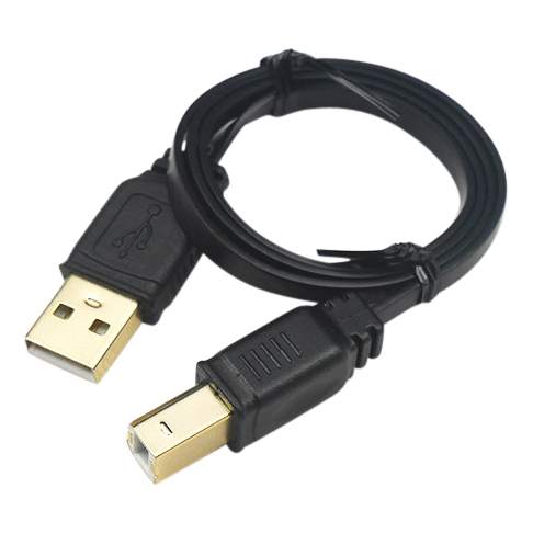 Câble USB2.0 type B vers type A plat en 50cm ZWO